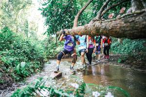 BIB: 
                            <button type="button" onclick="openModal(25517061)" class="btn btn-primary btn-sm float-right btn-popup" data-toggle="modal" data-target=".modal-high-quality">
                        <i class="fas fa-shopping-cart"></i> Add to Cart
                    </button>
                                            <button type="button" onclick="isThisMe(25517061, true)" class="btn btn-success btn-sm float-right btn-popup btn-isme hidden" data-toggle="tooltip" data-placement="bottom" title="นี่คือรูปของคุณใช่ไหม คลิกที่นี่เพื่อเอาเข้าอัลบั้ม">
                        <i class="fas fa-plus"></i> Add to album
                    </button>
                    <button type="button" onclick="isThisMe(25517061, false)" class="btn btn-warning btn-sm float-right btn-popup btn-isnotme hidden">
                        <i class="fas fa-ban"></i> Remove from album
                    </button>